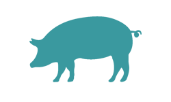 Colis de Porc pour 29-09-2026